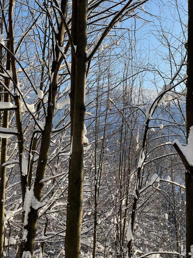 Apartament Kurort Kozubnik - Taras Nad Potokiem Porąbka Exteriör bild