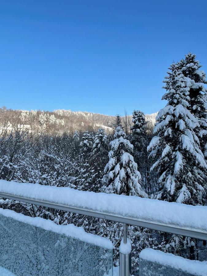 Apartament Kurort Kozubnik - Taras Nad Potokiem Porąbka Exteriör bild