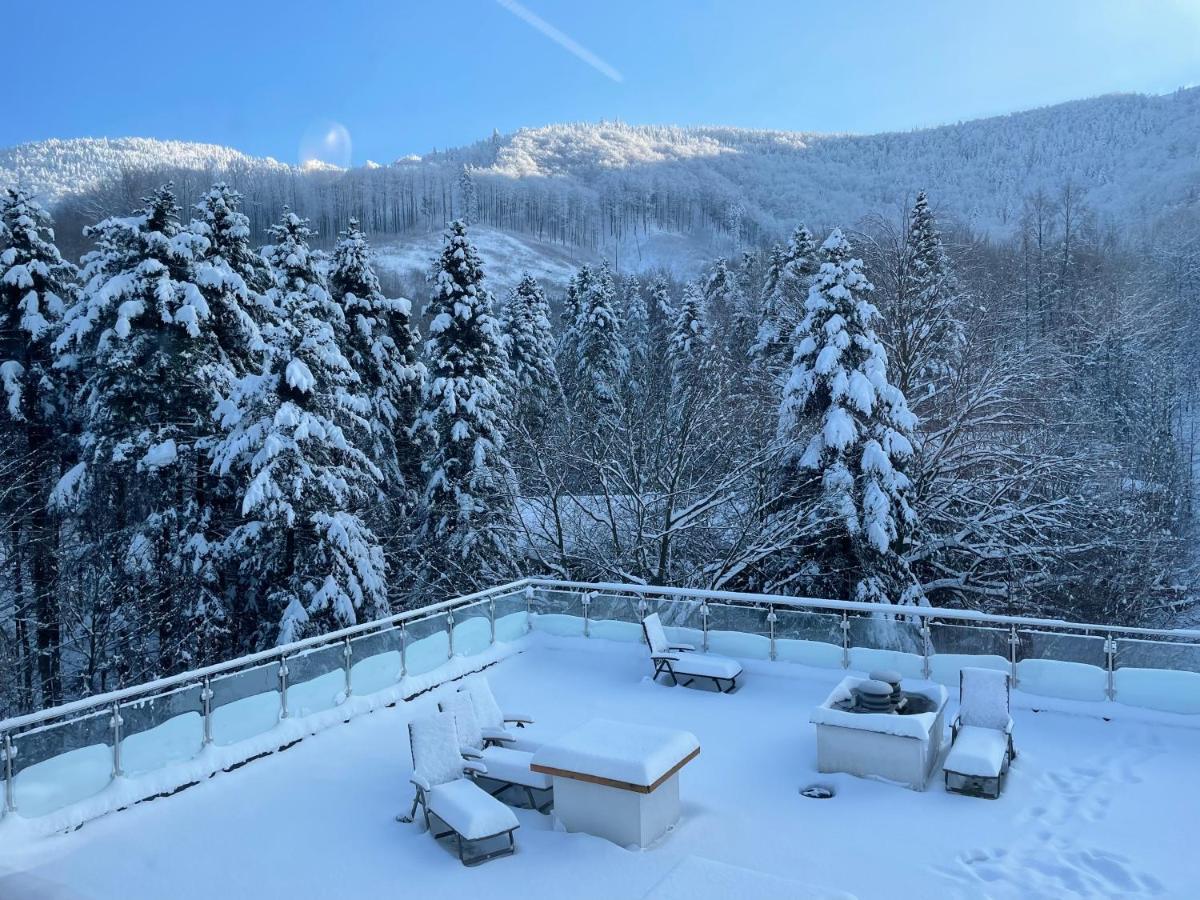 Apartament Kurort Kozubnik - Taras Nad Potokiem Porąbka Exteriör bild